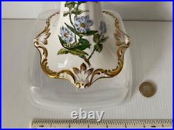 Superb Rare Vintage Spode England Stafford Flowers Candlestick Burtonia